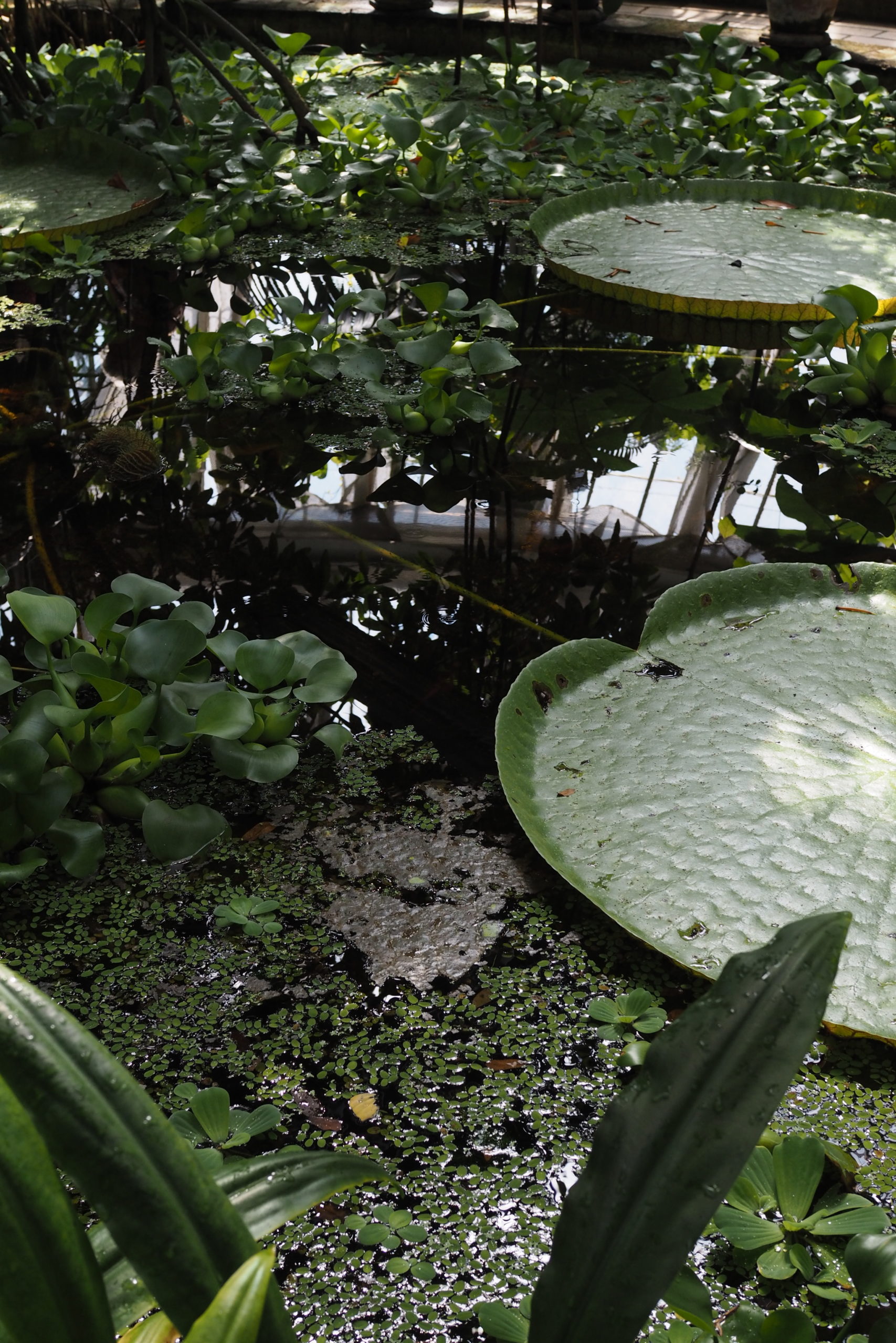 Botanical Gardens Copenhagen