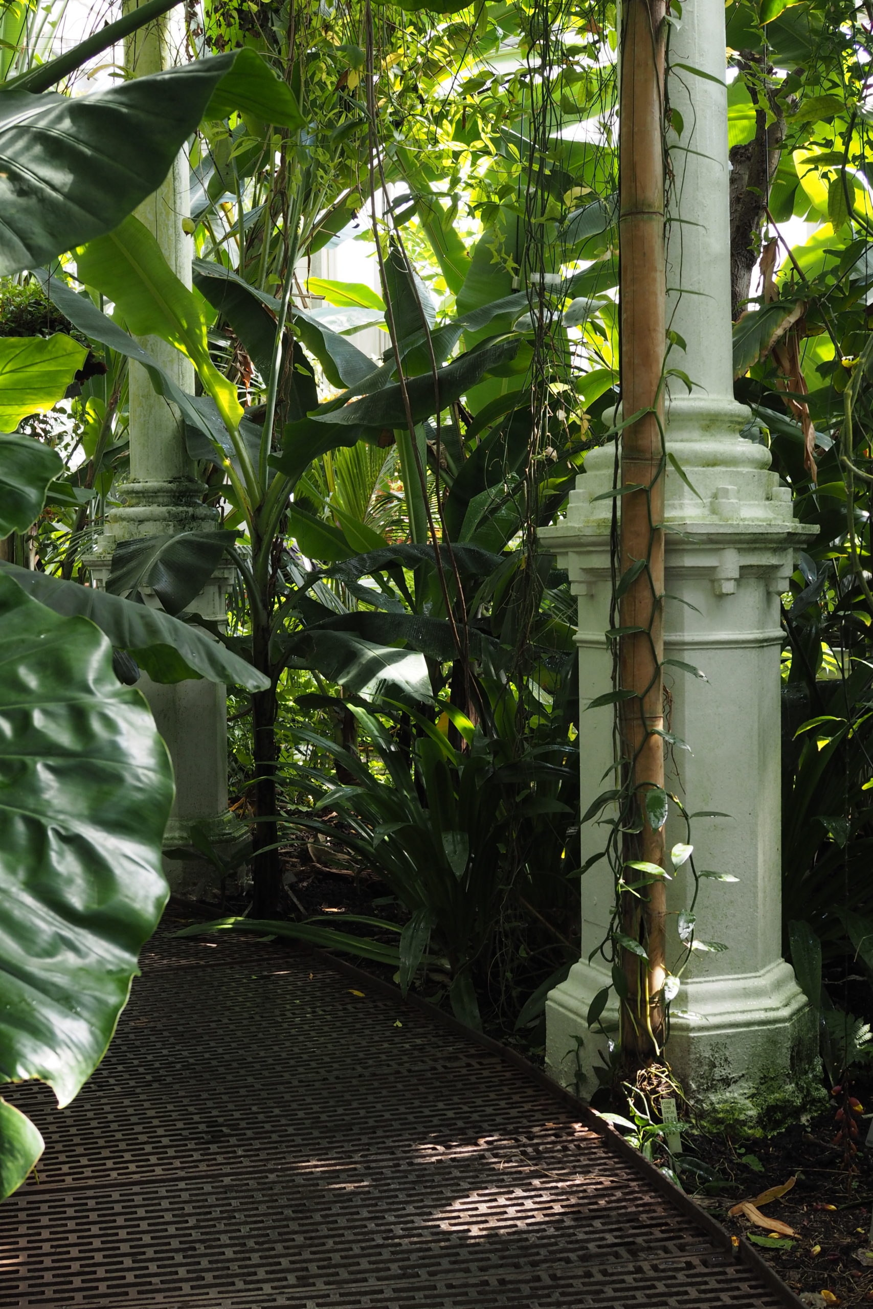 Inside the palm house 