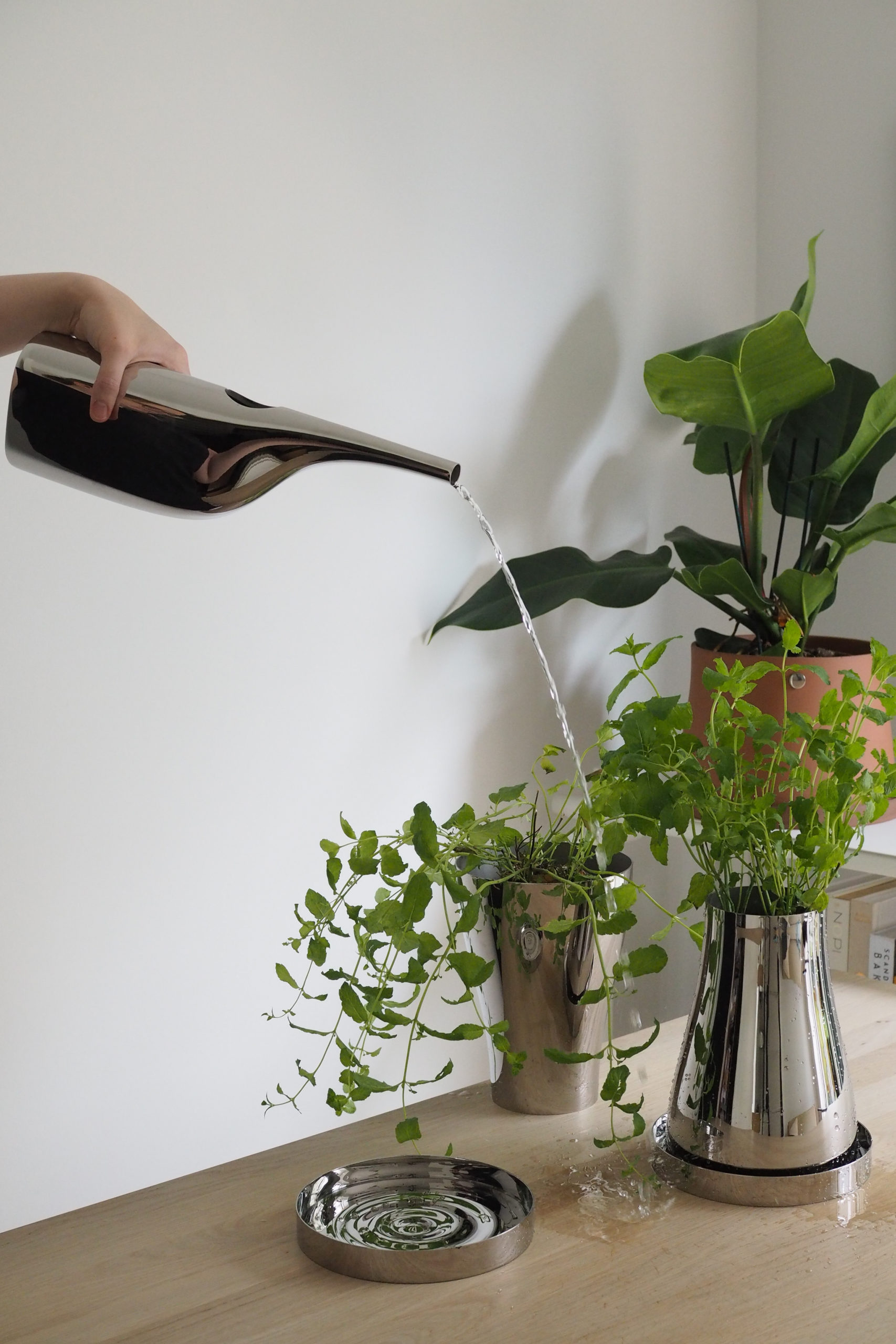 Green living with Georg Jensen