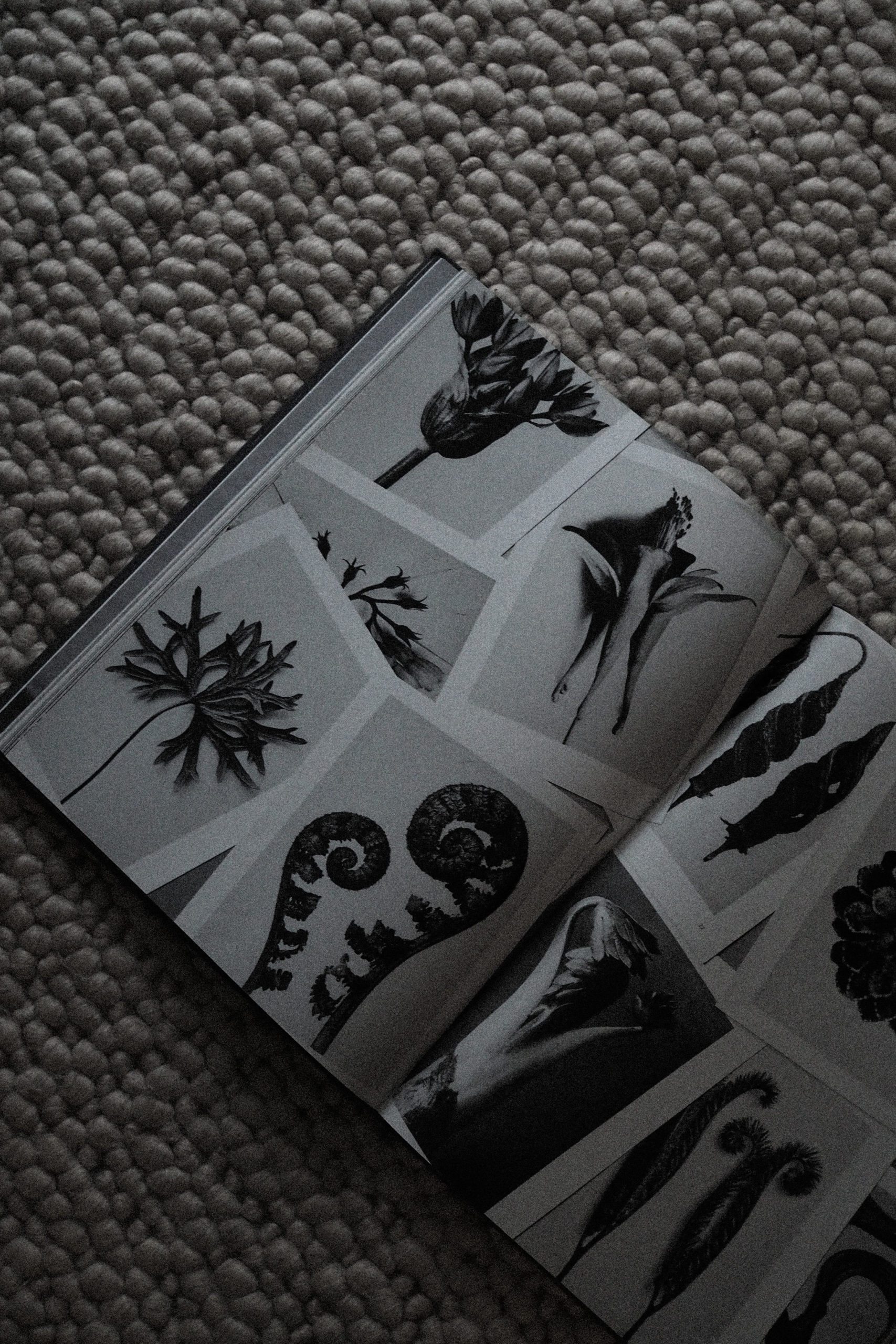 Georg Jensen, Karl Blossfeldt